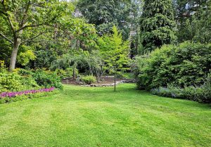 Optimiser l'expérience du jardin à Rothois